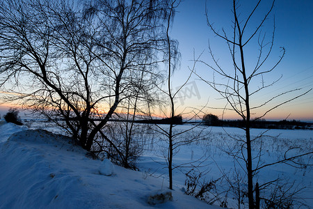 在领域的微明在冬天与树在前景。