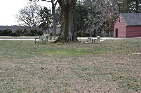 长木凳摄影照片_木凳或椅子和长满草的树