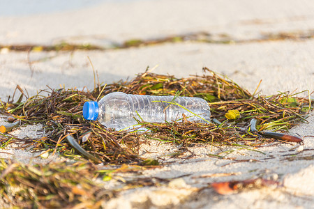 水上海滩摄影照片_带盖的塑料瓶被冲上海滩，与海藻混合