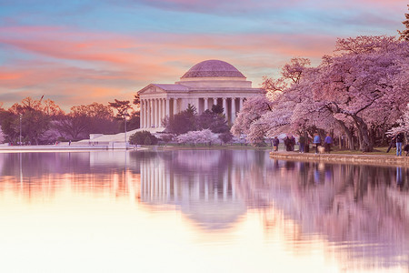 樱花节摄影照片_美国华盛顿特区樱花节