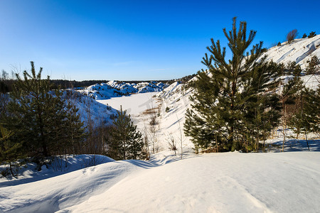 树木顶部摄影照片_冬天覆盖着白雪的山丘上有松树和树木。