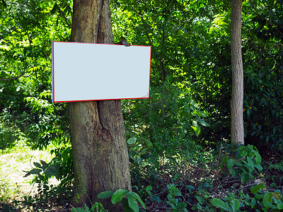 公路公路海报摄影照片_森林里树木上的广告牌空白