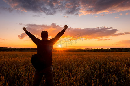 一个男人的剪影在小麦或黑麦的田野上举起双手直到日落。