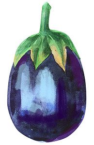 绿色食物插图摄影照片_紫茄子与萼片的水彩插图
