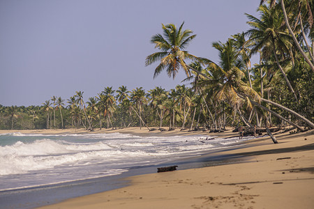 多米尼加共和国的普拉亚利蒙 20