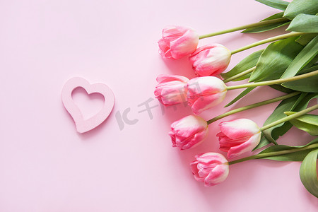 粉红色的郁金香花、树木切割和礼品盒放置在粉红色的背景上。