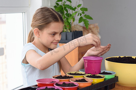 女孩正在煮熟的花盆里种种子