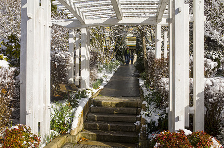 卡通巴历史悠久的卡林顿酒店的白雪皑皑的花园