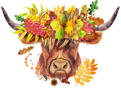 一头棕色长角公牛在秋叶花环中的水彩插图