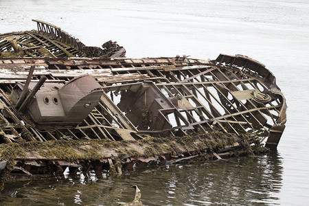一艘古船失事后的骨架