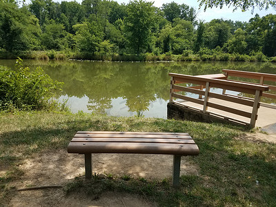 俯瞰池塘摄影照片_俯瞰池塘的长凳