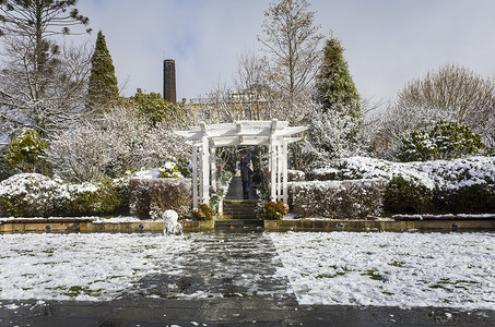 冬天卡通下雪摄影照片_澳大利亚卡通巴历史悠久的卡灵顿酒店的白雪皑皑的花园