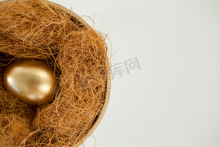 白色背景下巢中的金蛋