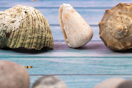海洋主题背景摄影照片_蓝色木质背景上的岩石和贝壳。海洋主题