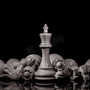 国际象棋骑士摄影照片_黑色和白色国王和国际象棋骑士设置在黑暗的背景。