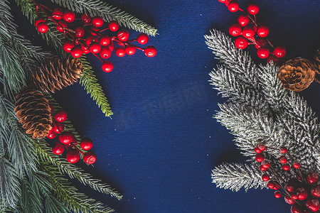 圣诞红摄影照片_蓝色背景上的圣诞贺卡概念