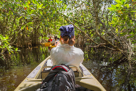 美国佛罗里达州大沼泽地红树林中的旅游皮划艇