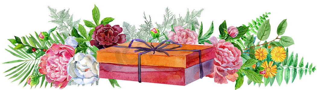 水彩 llustration 与红色礼品盒和牡丹。