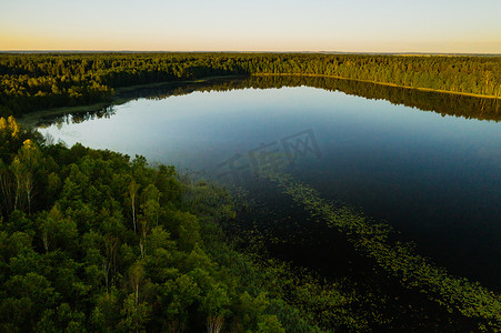 布拉斯拉夫湖国家公园森林中博尔塔湖的顶视图，这是白俄罗斯最美丽的地方。湖中的一个岛屿。白俄罗斯。