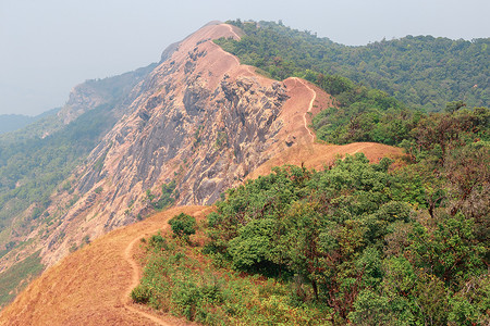 泰国清迈 Monjong 山顶的黄​​色田野