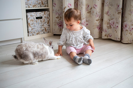 兔宝宝摄影照片_可爱的宝宝在家里玩装饰兔子