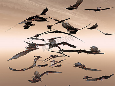 蝙蝠翅膀摄影照片_蝙蝠在天上飞来飞去