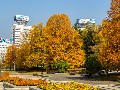 金色九月摄影照片_阿拉木图 - 城市的金色秋天