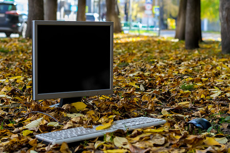 街上的秋黄树叶上有电脑、显示器、键盘