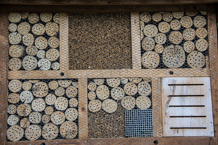 昆虫冬眠摄影照片_为自然保护而建造的木头昆虫旅馆