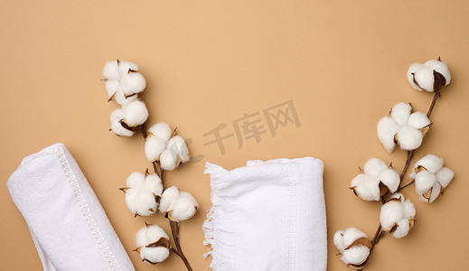 折叠的白色棉毛巾和浅棕色背景中的棉花小枝，顶视图