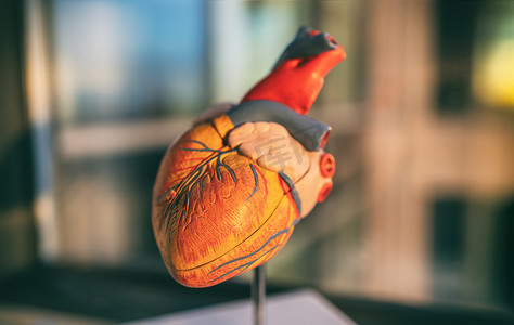 COVID-19冠状病毒心力衰竭症状医学心脏模型显示冠状病毒感染中风血栓的心血管风险