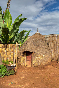 兰象形字摄影照片_埃塞俄比亚 Dorze 村的大象形小屋