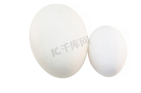 白色的鹅摄影照片_鸡蛋和鹅蛋