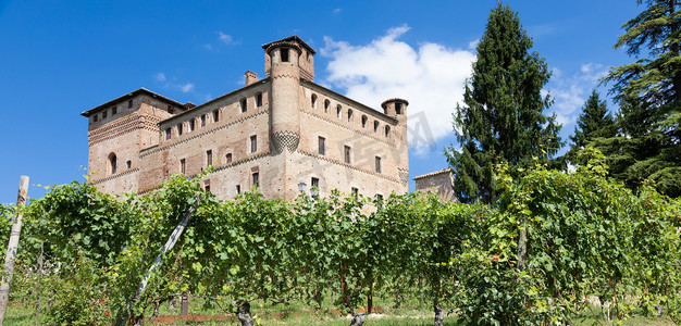 意大利皮埃蒙特地区的葡萄园，背景是 Grinzane Cavour 城堡