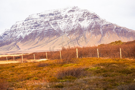 五颜六色的冰岛风景，紫色的雪山和橙色的草地前景
