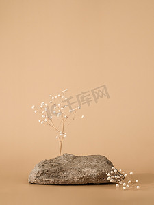 柔和米色背景的石讲台模型