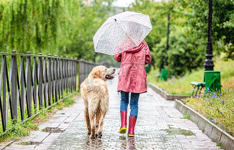 雨中遛狗的小女孩