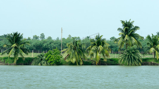 山水壁纸摄影照片_在公园的蓝天背景下，可以欣赏到回水湖附近郁郁葱葱的椰子树的景色。