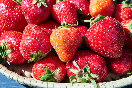 篮子里的草莓摄影照片_波兰春天柳条篮子里的草莓