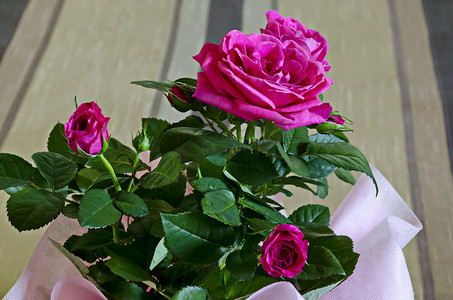 粉红色包装中的几朵新鲜粉红色玫瑰花束