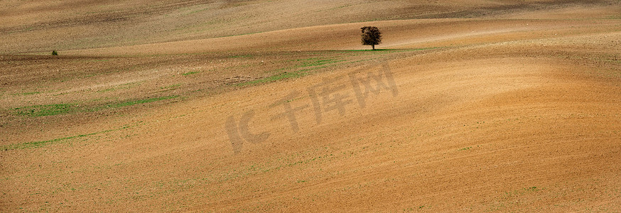 捷克语摄影照片_在宽敞的摩拉维亚捷克语的偏僻的树