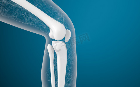 外科手术摄影照片_腿骨和膝盖，3d 渲染。