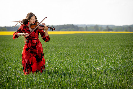 身穿红裙的年轻女子在绿色草地上拉小提琴 — 图片