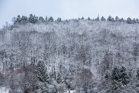 白雪皑皑的冬季景观与森林