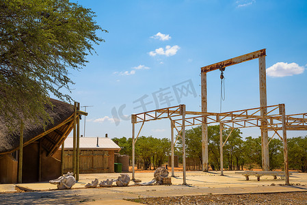 埃托沙摄影照片_纳米比亚埃托沙国家公园 Olifantsrus 营地的老大象屠宰场