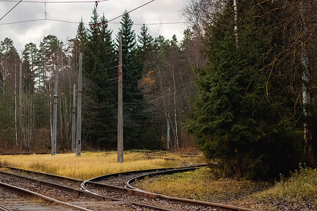 黄色秋季背景摄影照片_黄色秋季森林中的电车轨道
