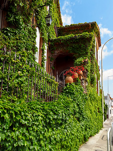 戛纳 - 绿色的房子外观