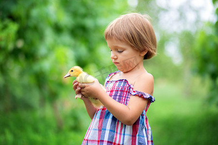 穿着夏日太阳裙的小女孩在草地上和大自然中的小鸭子玩耍