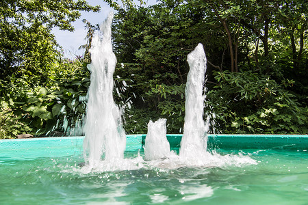 绿色水池中的喷泉