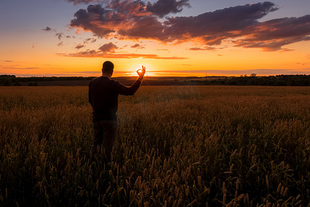 一个男人的剪影在麦田上做手指手势 ok 到日落。
